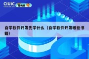 自学软件开发先学什么（自学软件开发哪些书籍）