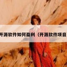 开源软件如何盈利（开源软件项目）