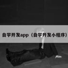 自学开发app（自学开发小程序）