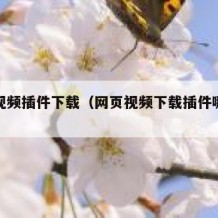 网站视频插件下载（网页视频下载插件哪个好用）