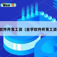 自学软件开发工资（自学软件开发工资高吗）