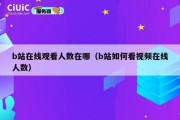 b站在线观看人数在哪（b站如何看视频在线人数）