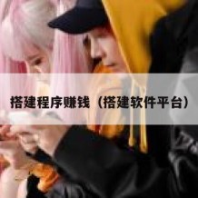 搭建程序赚钱（搭建软件平台）