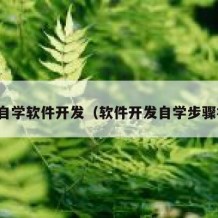 如何自学软件开发（软件开发自学步骤视频）