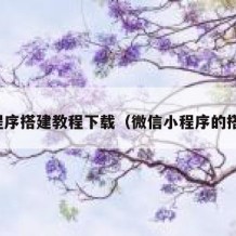 小程序搭建教程下载（微信小程序的搭建）