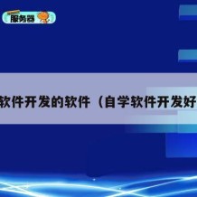 自学软件开发的软件（自学软件开发好学吗）