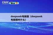 deepseek电脑版（deepseek电脑版叫什么）