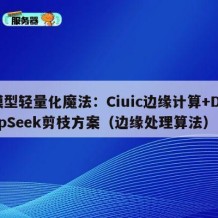 模型轻量化魔法：Ciuic边缘计算+DeepSeek剪枝方案（边缘处理算法）