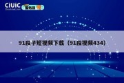 91段子短视频下载（91段视频434）