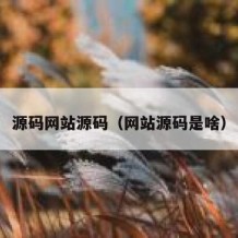 源码网站源码（网站源码是啥）