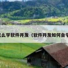 怎么学软件开发（软件开发如何自学）