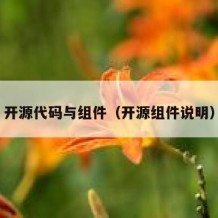 开源代码与组件（开源组件说明）