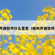 开源软件什么意思（啥叫开源软件）