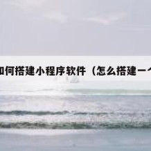 自己如何搭建小程序软件（怎么搭建一个小程序）