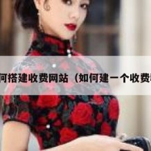 如何搭建收费网站（如何建一个收费群）
