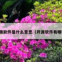 开源软件是什么意思（开源软件有哪些）