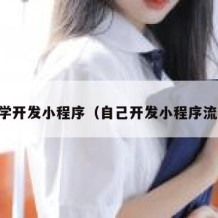 自学开发小程序（自己开发小程序流程）