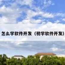 怎么学软件开发（初学软件开发）