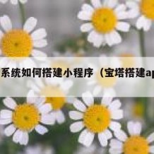 宝塔系统如何搭建小程序（宝塔搭建app教程）