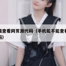 手机端查看网页源代码（手机能不能查看网页源代码）