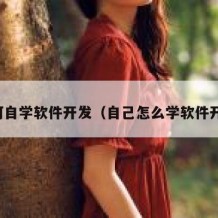 如何自学软件开发（自己怎么学软件开发）