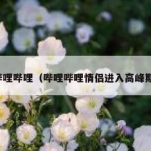 哔哩哔哩（哔哩哔哩情侣进入高峰期）