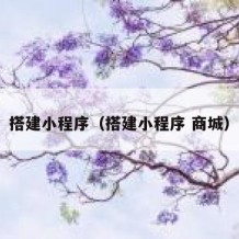 搭建小程序（搭建小程序 商城）