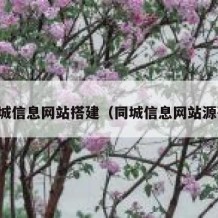 同城信息网站搭建（同城信息网站源码）