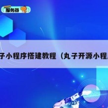 丸子小程序搭建教程（丸子开源小程序）