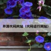 开源代码网站（代码运行网站）