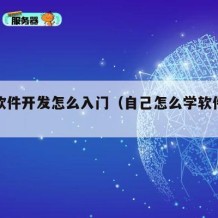 自学软件开发怎么入门（自己怎么学软件开发）