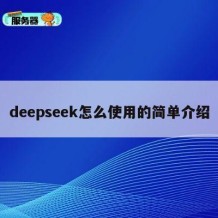 deepseek怎么使用的简单介绍