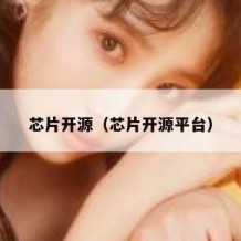芯片开源（芯片开源平台）