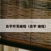 自学开发编程（自学 编程）