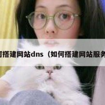 如何搭建网站dns（如何搭建网站服务器）