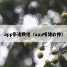app搭建教程（app搭建软件）
