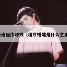 搭建程序赚钱（程序搭建是什么意思）