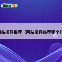 网站插件推荐（网站插件推荐哪个好）