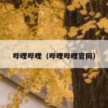 哔哩哔哩（哔哩哔哩官网）