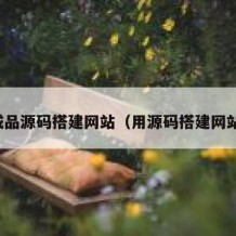 成品源码搭建网站（用源码搭建网站）