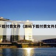 源码下载付费文件（源码下载付费文件是什么）