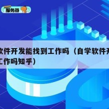 自学软件开发能找到工作吗（自学软件开发能找到工作吗知乎）