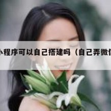 微信小程序可以自己搭建吗（自己弄微信小程序）