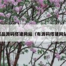 成品源码搭建网站（有源码搭建网站）