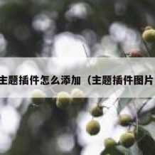 主题插件怎么添加（主题插件图片）