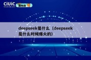 deepseek是什么（deepseek是什么时候爆火的）
