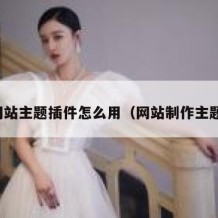 网站主题插件怎么用（网站制作主题）