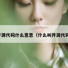 开源代码什么意思（什么叫开源代码）
