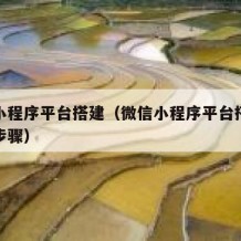 微信小程序平台搭建（微信小程序平台搭建的六个步骤）