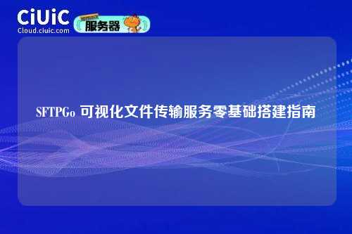 SFTPGo 可视化文件传输服务零基础搭建指南